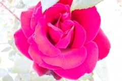JO_163