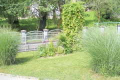 DSCN2450