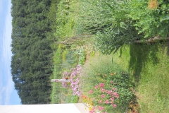 DSCN2451