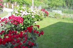 DSCN2456