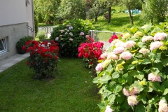 DSCN2457