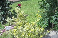 DSCN2460