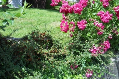 DSCN2461