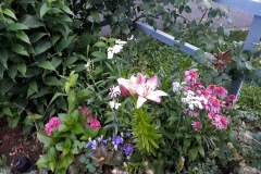2018-001