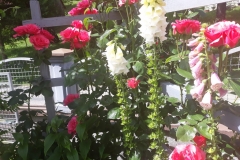 2019-02