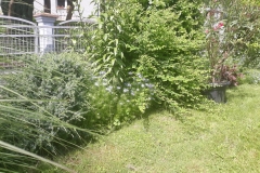2019-04