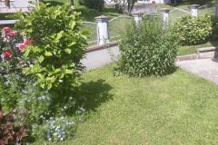 2019-05