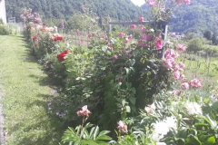 2019-06