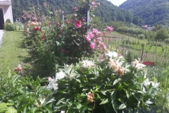 2019-07