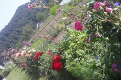 2019-08